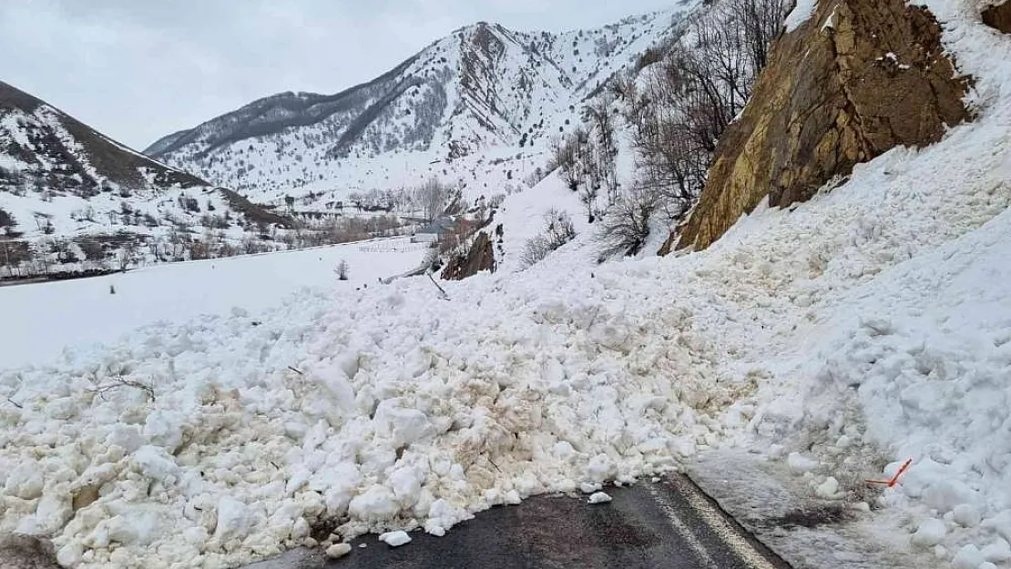 Bingöl'de 3 noktada çığ düştü
