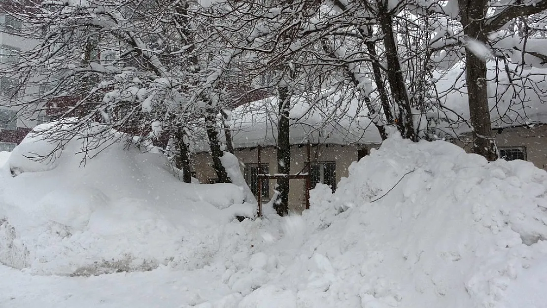 Bitlis'te kar esareti devam ediyor
