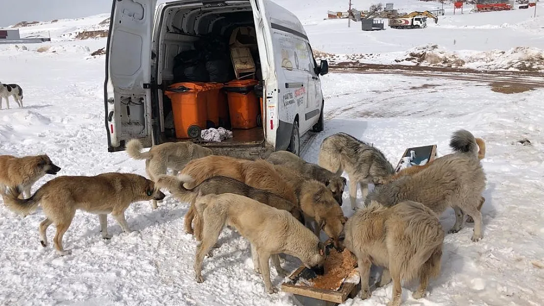 İpekyolu Belediyesinden örnek çalışma
