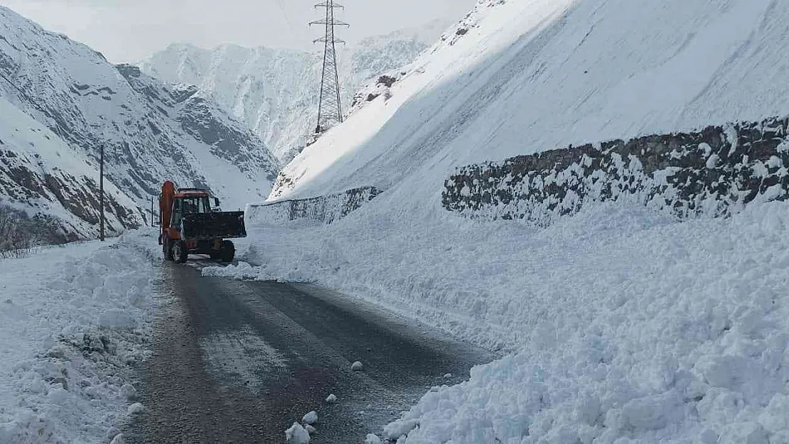 Hakkari-Van karayoluna çığ düştü
