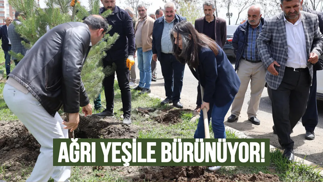 Ağrı Belediyesi'nden Yeşil Dönüşüm Hamlesi: 720 Sarı Çam Toprakla Buluştu