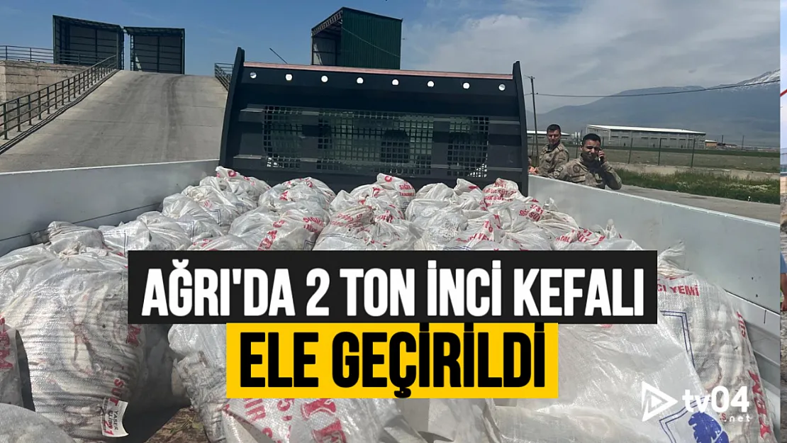 Ağrı'da 2 Ton Kaçak İnci Kefali Ele Geçirildi!