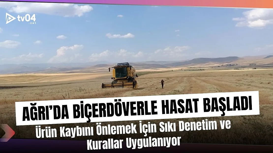 Ağrı'da Biçerdöverle Hasat Dönemi Başladı: Ürün Kaybını Önlemek İçin Sıkı Denetim ve Kurallar Uygulanıyor