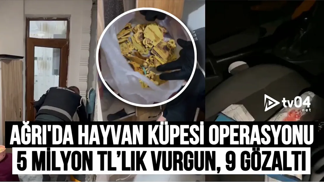 Ağrı'da Kaçak Hayvan Ticareti Operasyonu: 5 Milyon TL'lik Vurgun Önlenerek 9 Şüpheli Gözaltına Alındı