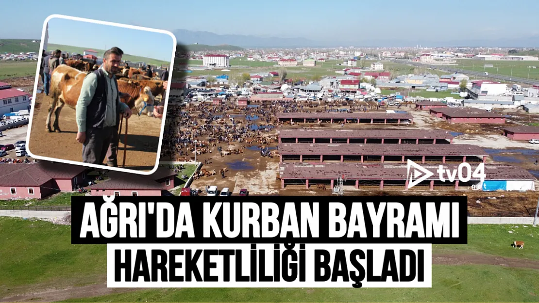 Ağrı'da Kurban Bayramı Hareketliliği Başladı: Hayvan Pazarında Yoğunluk Yaşanıyor