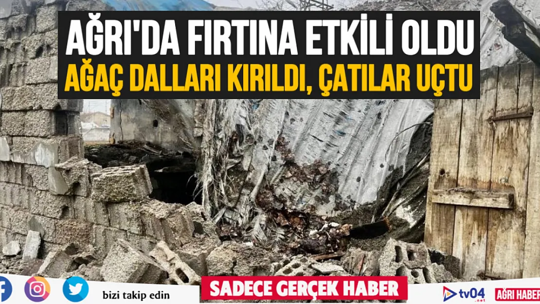 Ağrı'da şiddetli kar fırtınası etkili oldu