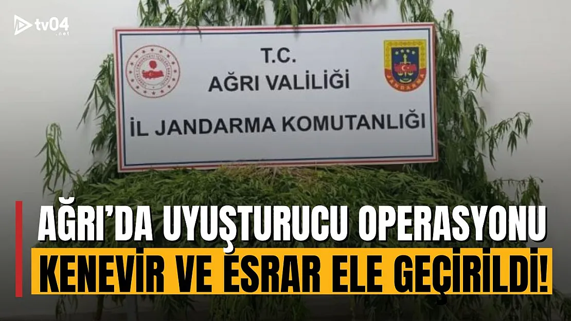 Ağrı'da Uyuşturucu Operasyonu: Patnos ve Doğubayazıt'ta Kenevir ve Esrar Ele Geçirildi