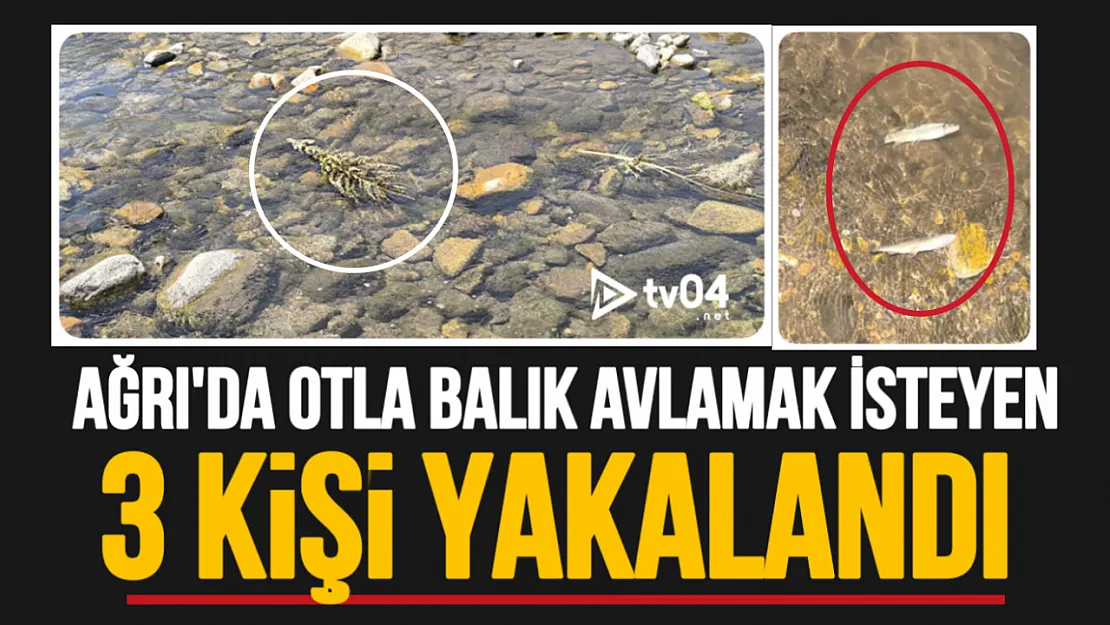 Ağrı'da yasadışı avlanma yöntemi kullanan 3 kişi hakkında idari işlem başlatıldı
