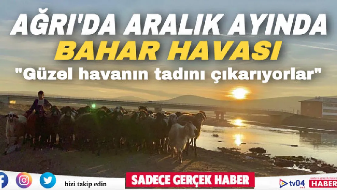 Ağrı'da Aralık ayında bahar havası