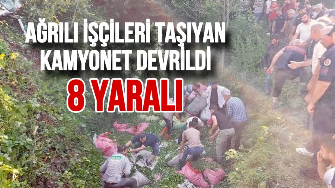 Ağrılı Çay İşçilerini Taşıyan Kamyonet Kaza Yaptı: 8 Yaralı