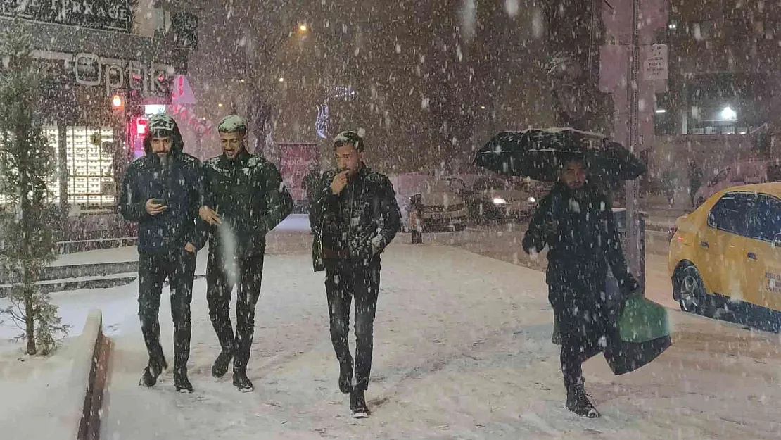 Van'da kar yağışı
