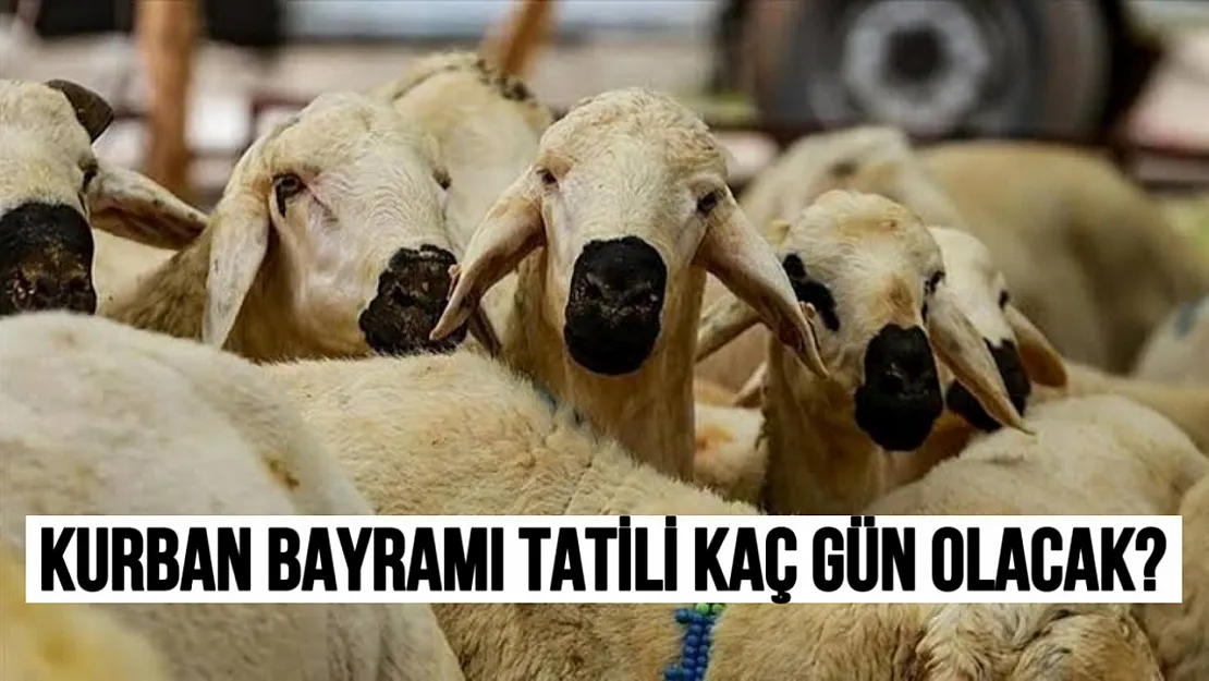 Kurban Bayramı Tatili 9 Gün Olacak mı? Bakan Ersoy'dan Dikkat Çeken Açıklama