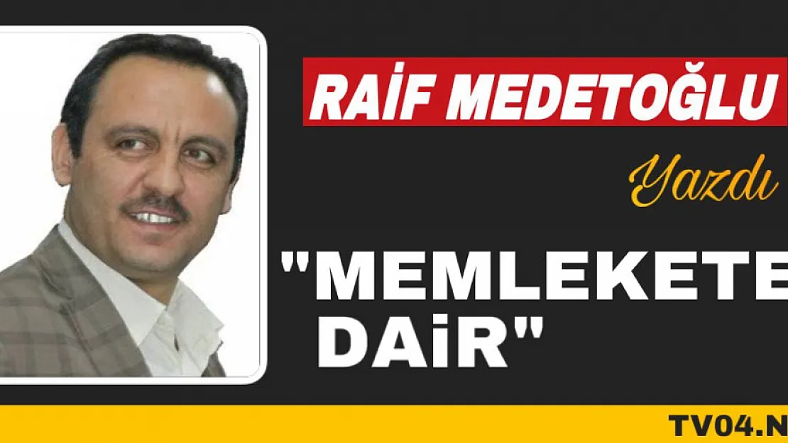 Raif Medetoğlu yazdı 'Memlekete dair'