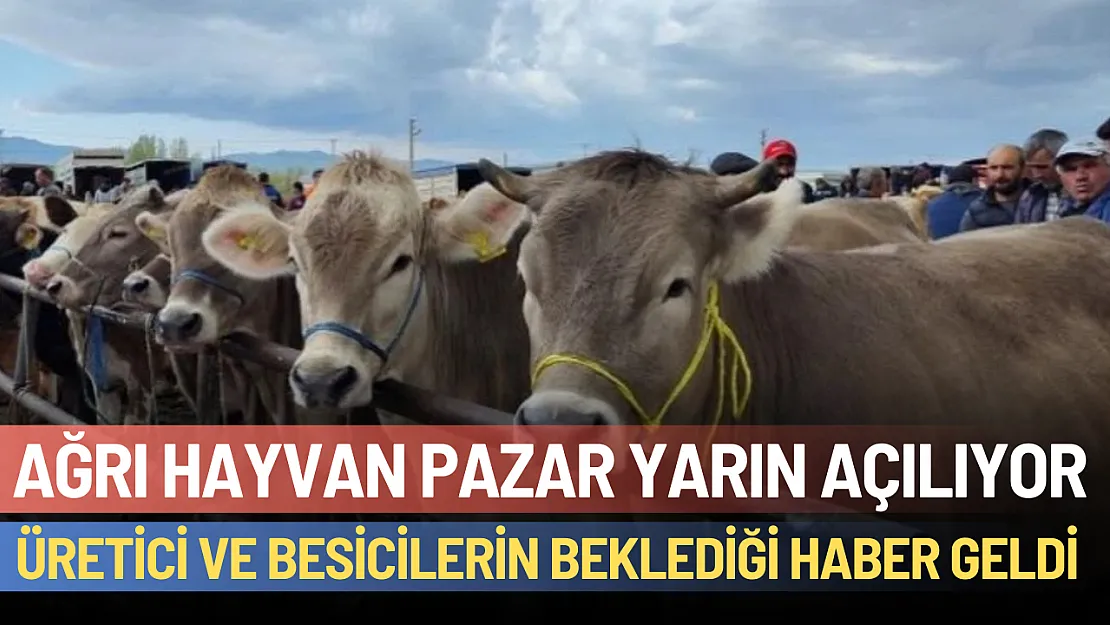 Üretici ve Besicilerin Beklediği Haber Geldi: Ağrı Hayvan Borsası Yarın Açılıyor!