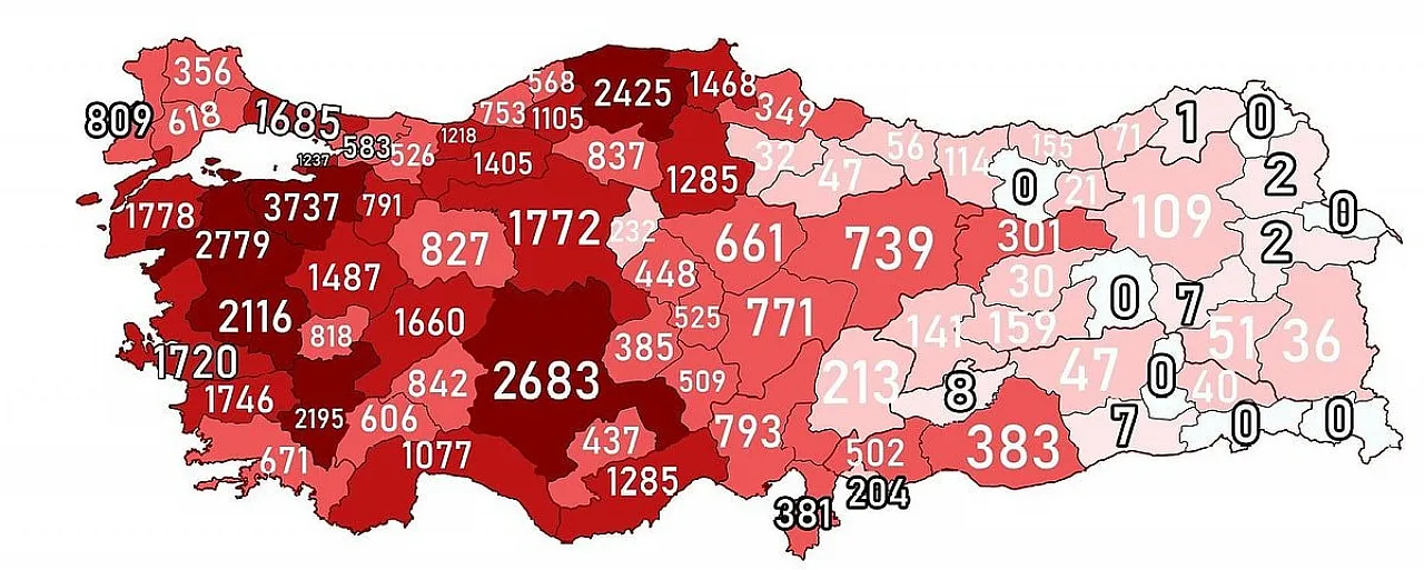 Çanakkale Savaşı'nda Ağrı'dan Kaç Şehit Verildi?