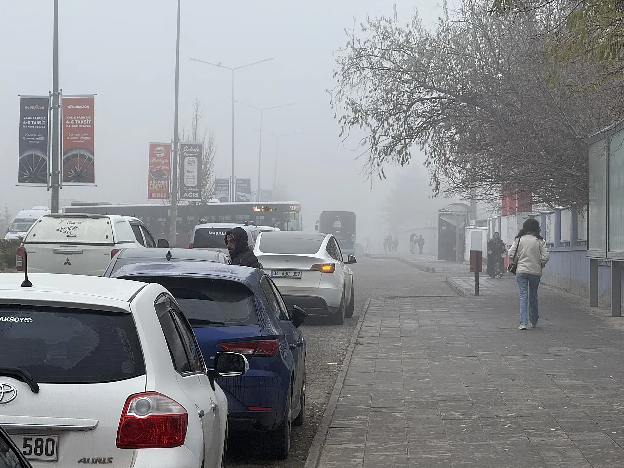 Ağrı'da Kış Kapıyı Çaldı: Sis ve Ayaz Hayatı Olumsuz Etkiliyor