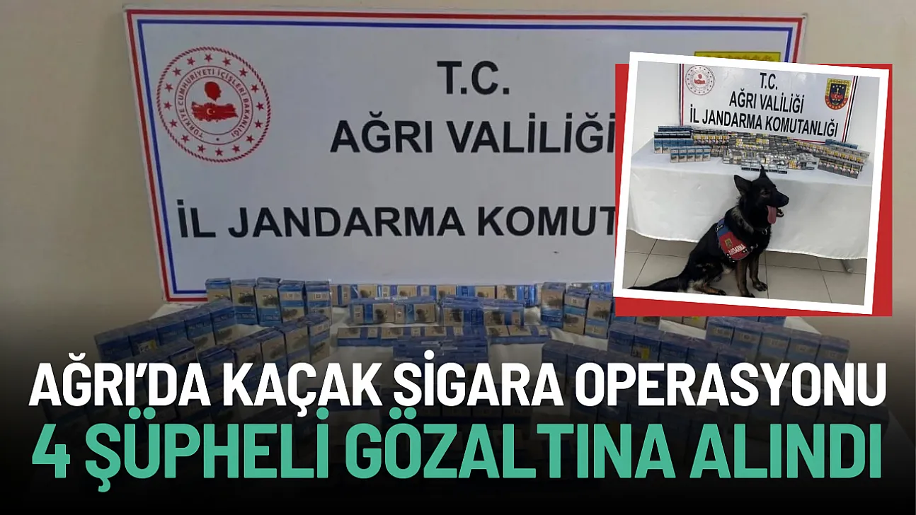 Ağrı Jandarma'dan Kaçak Sigara Operasyonu: 1227 Paket Kaçak Sigara Ele Geçirildi!