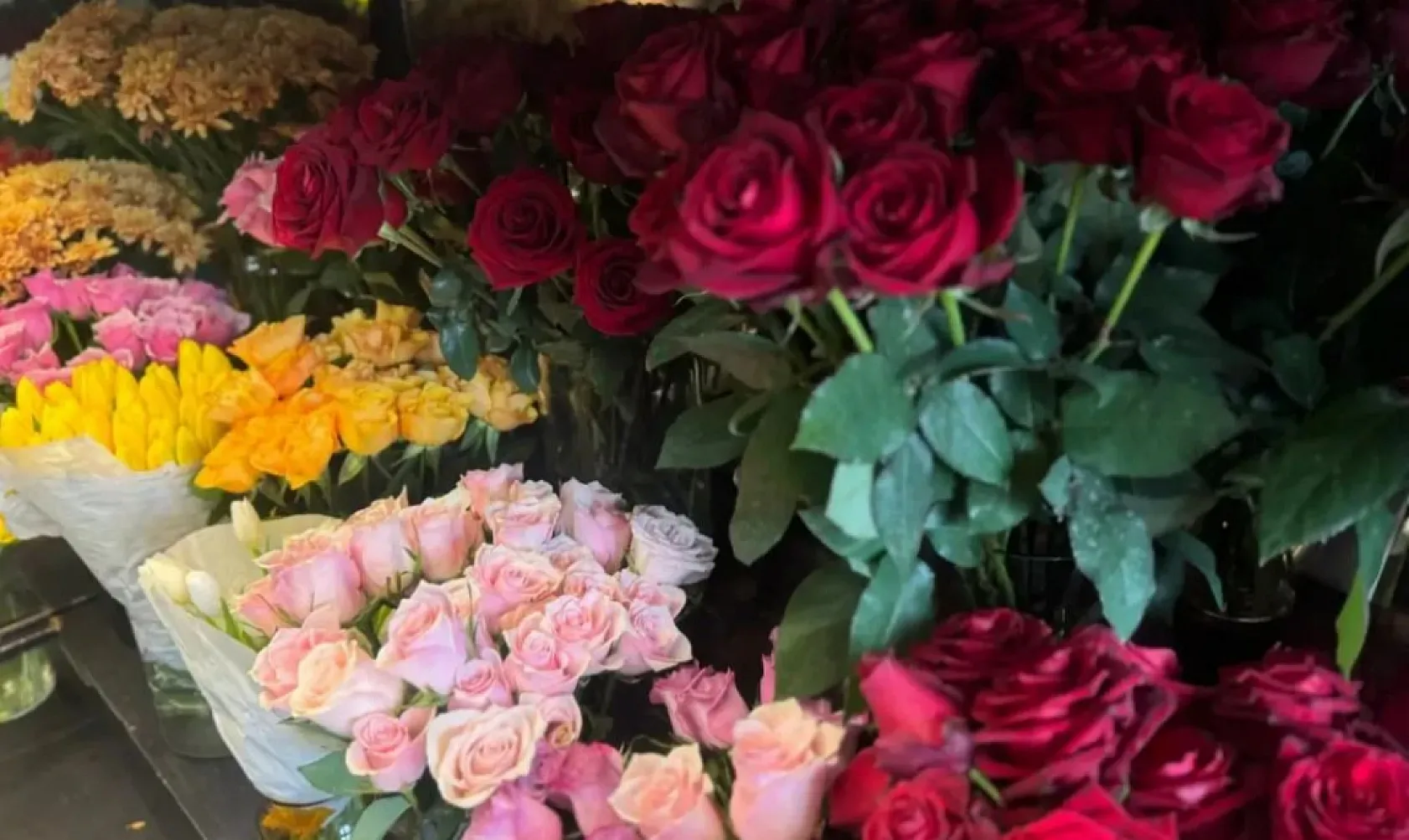 Ağrı'da Aşkın Bedeli Ağır: Sevgililer Günü Çiçeksiz Geçecek