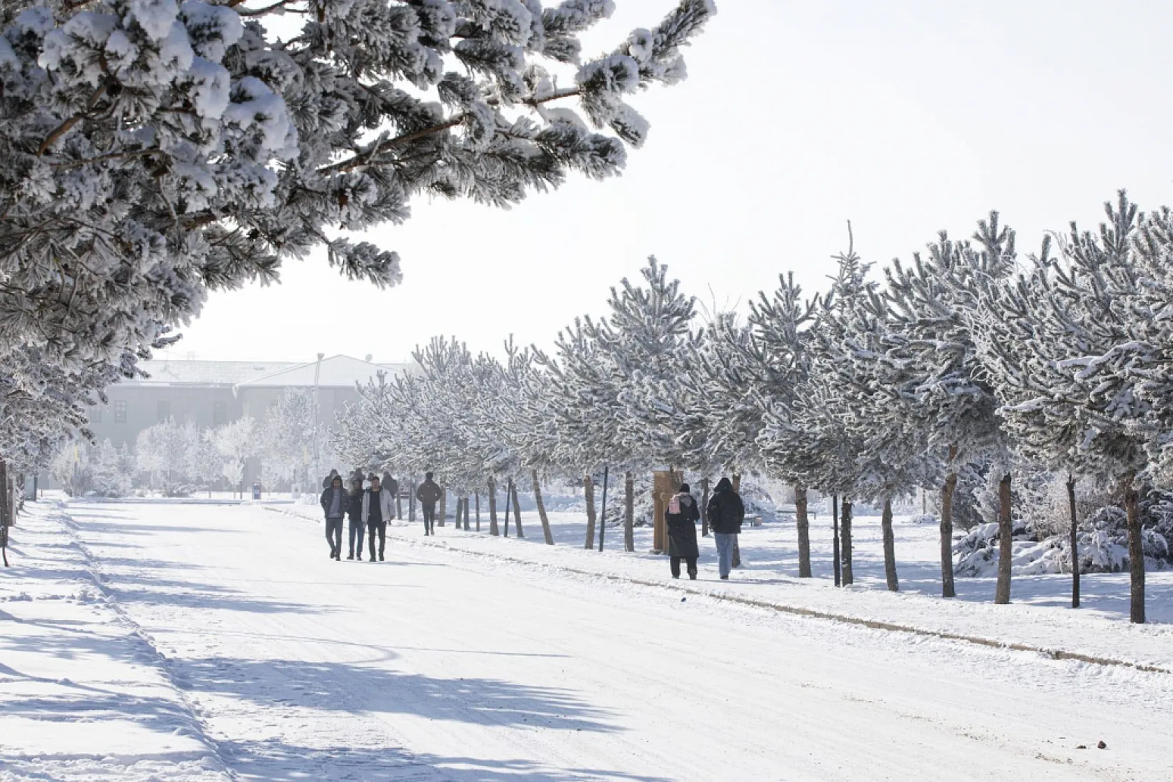 Ağrı'da kar güzelliği: Üniversite Kampüsü kartpostallık görüntüler sundu