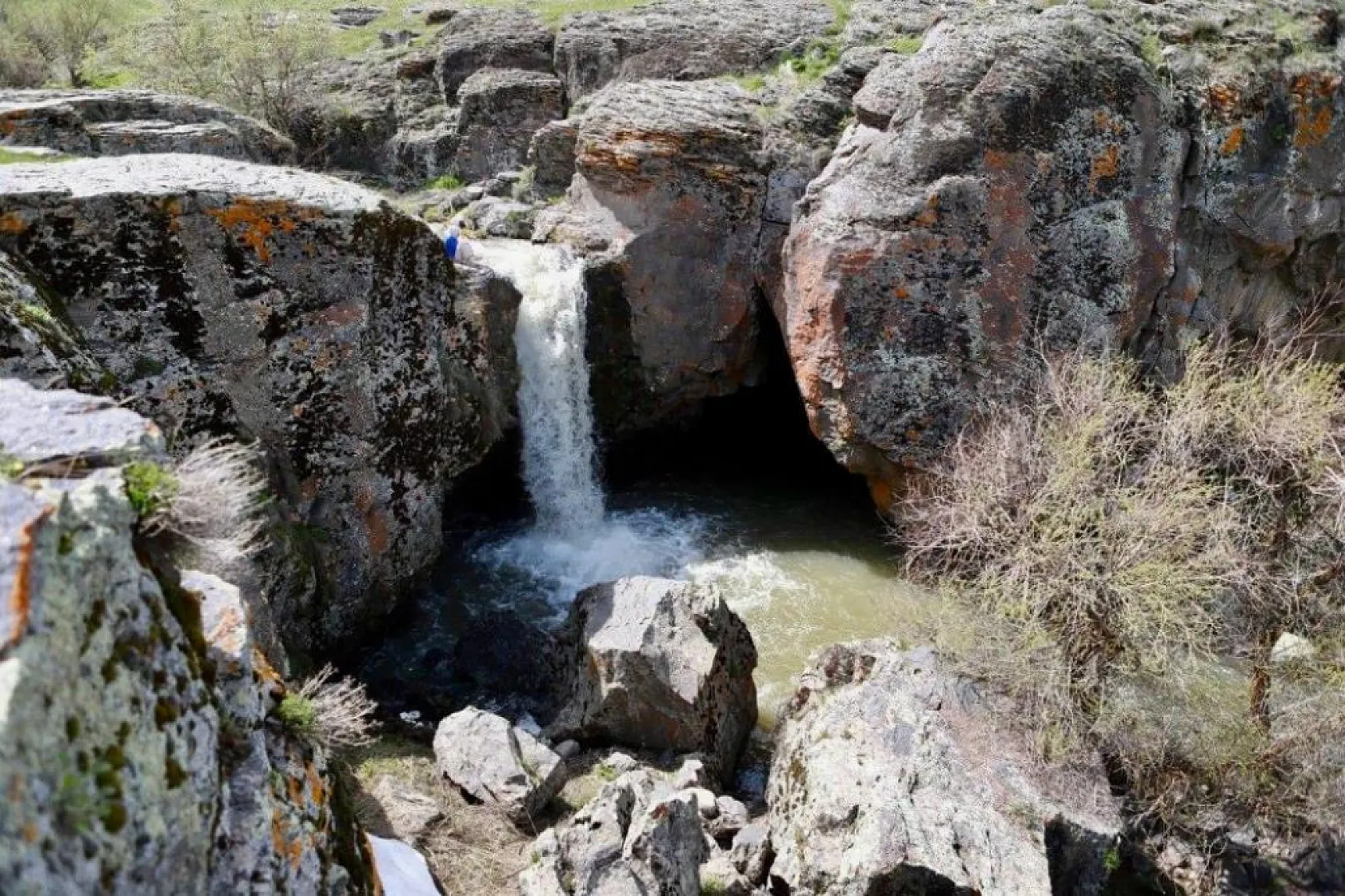 Ağrı'da baharın gelişi ile doğanın renk uyumu büyüledi