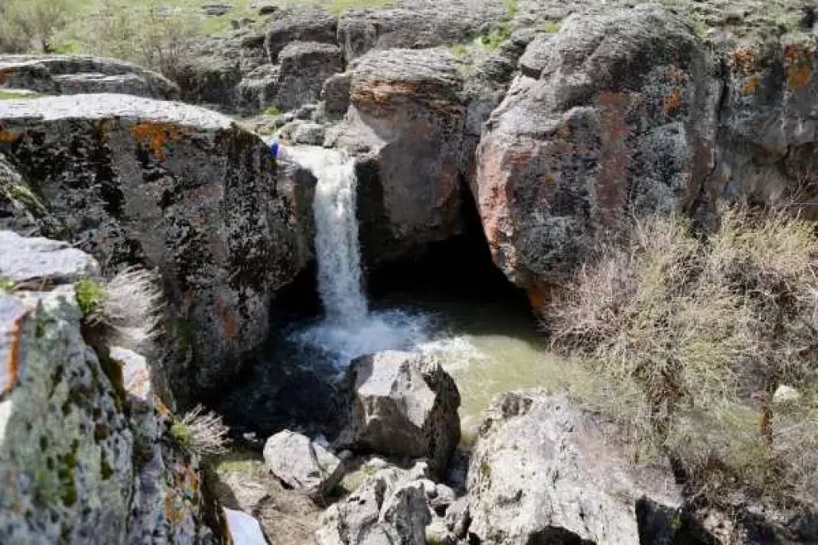 Ağrı'da baharın gelişi ile doğanın renk uyumu büyüledi