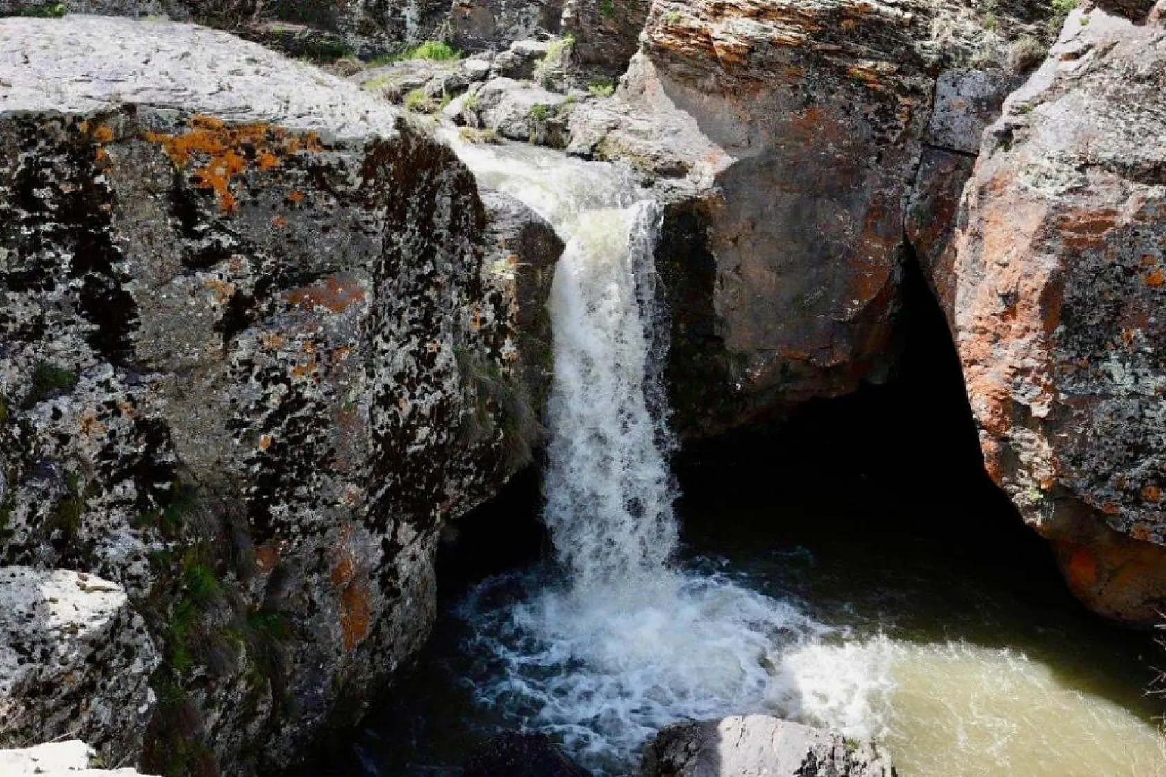 Ağrı'da baharın gelişi ile doğanın renk uyumu büyüledi
