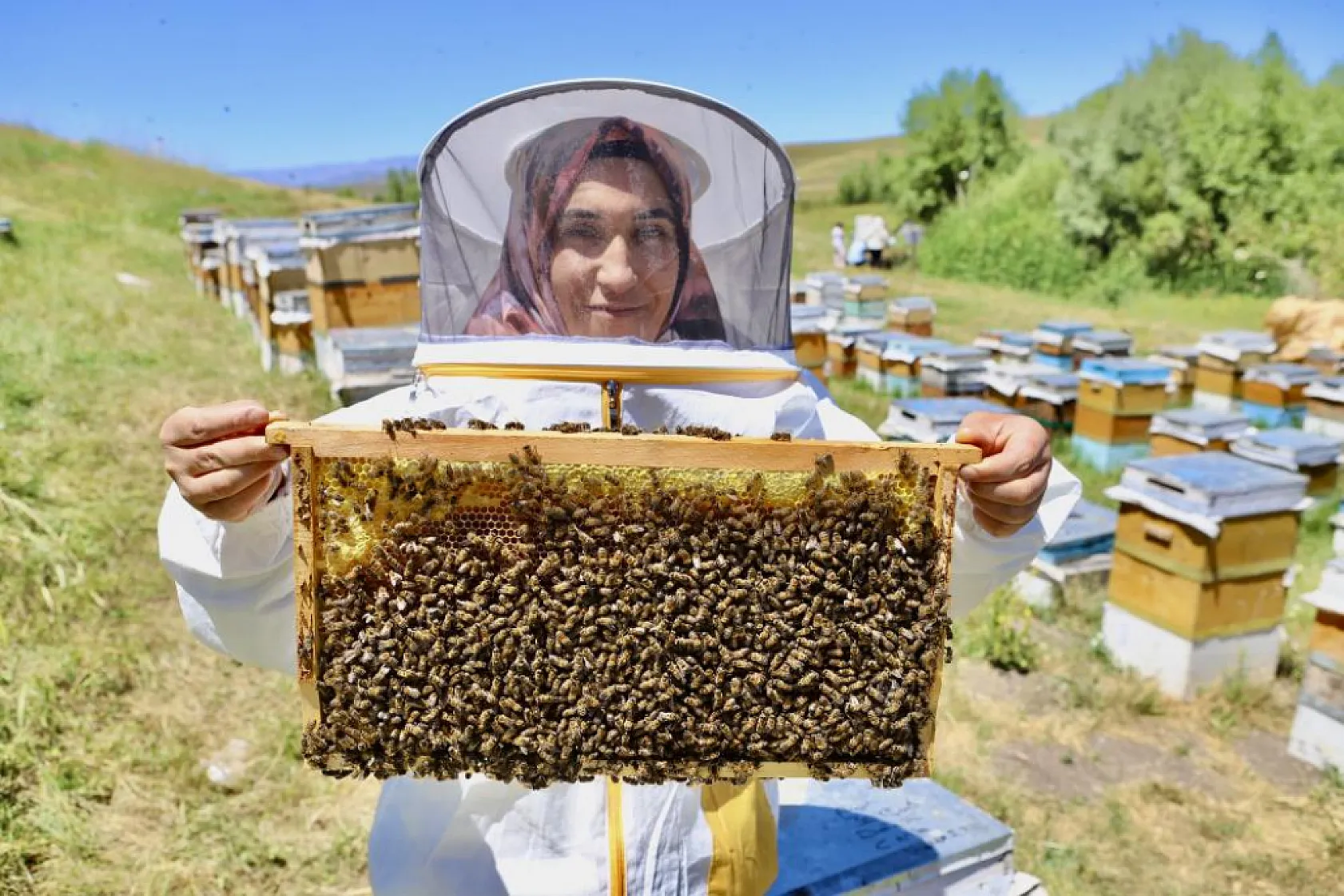 Ağrı'da kadın işletmecinin büyük başarısı! Yılda 3 ton bal elde ediyor