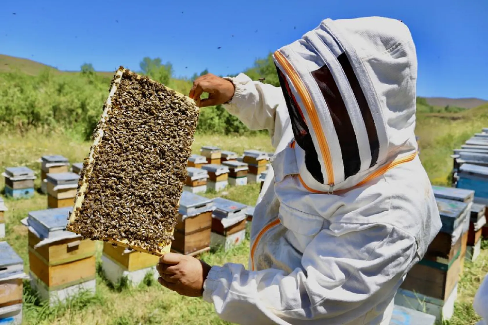 Ağrı'da kadın işletmecinin büyük başarısı! Yılda 3 ton bal elde ediyor