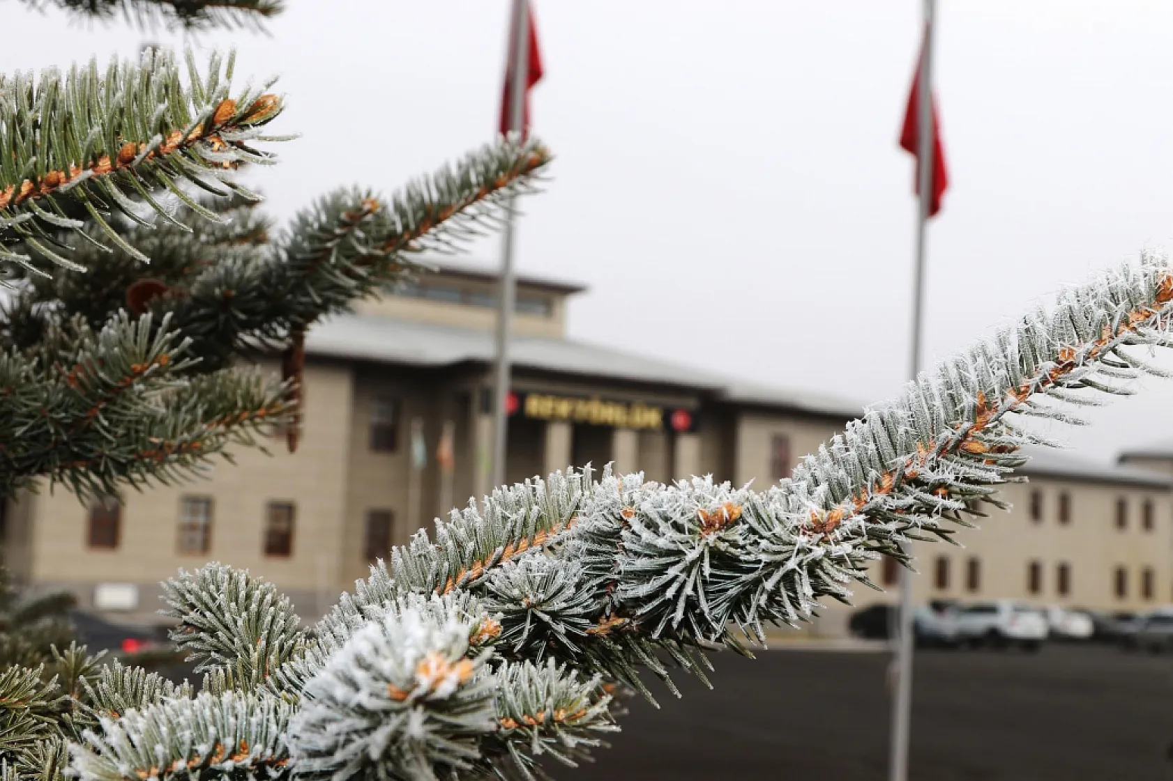 Ağrı İbrahim Çeçen Üniversitesi'nde Kırağı Manzarası Büyüledi