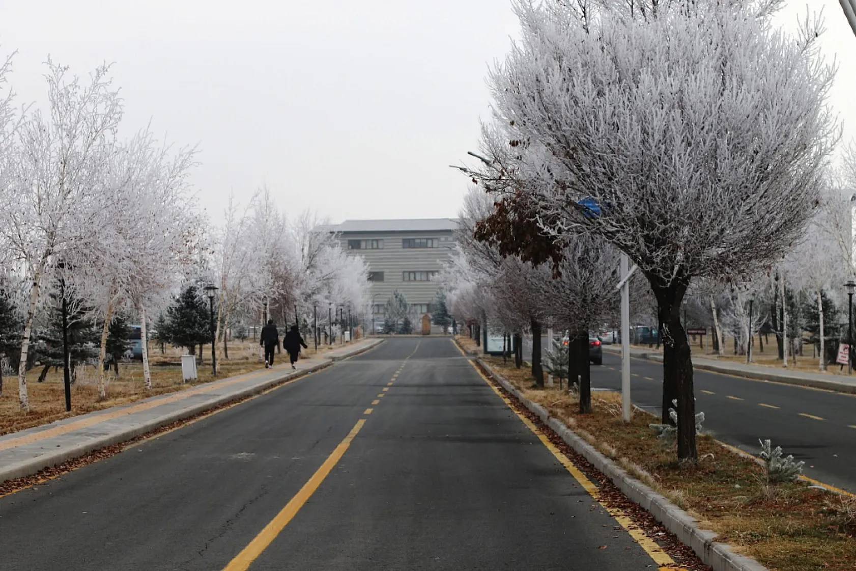 Ağrı İbrahim Çeçen Üniversitesi'nde Kırağı Manzarası Büyüledi