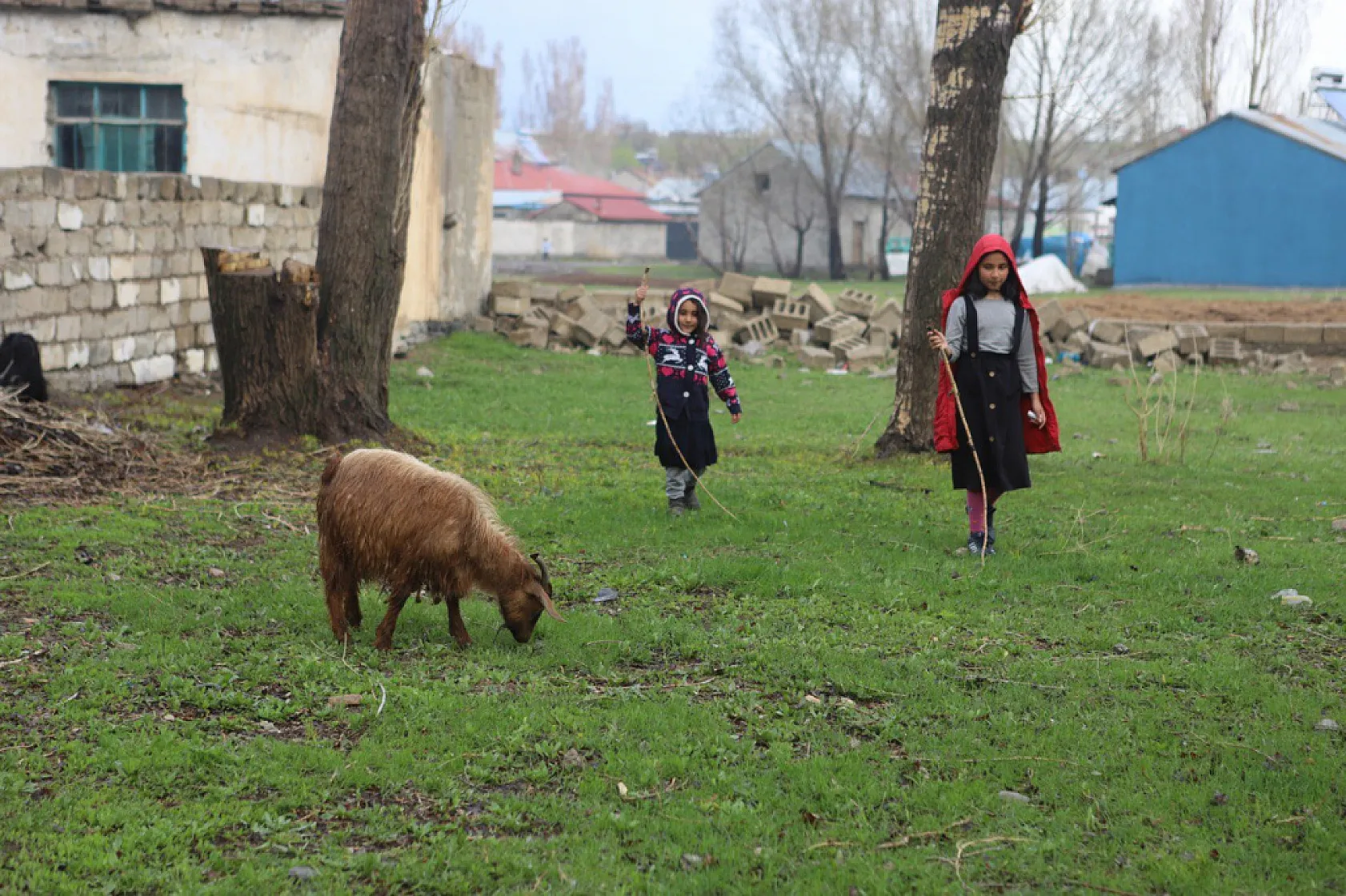 Ağrı'da baharın gelişi ile doğa uyandı