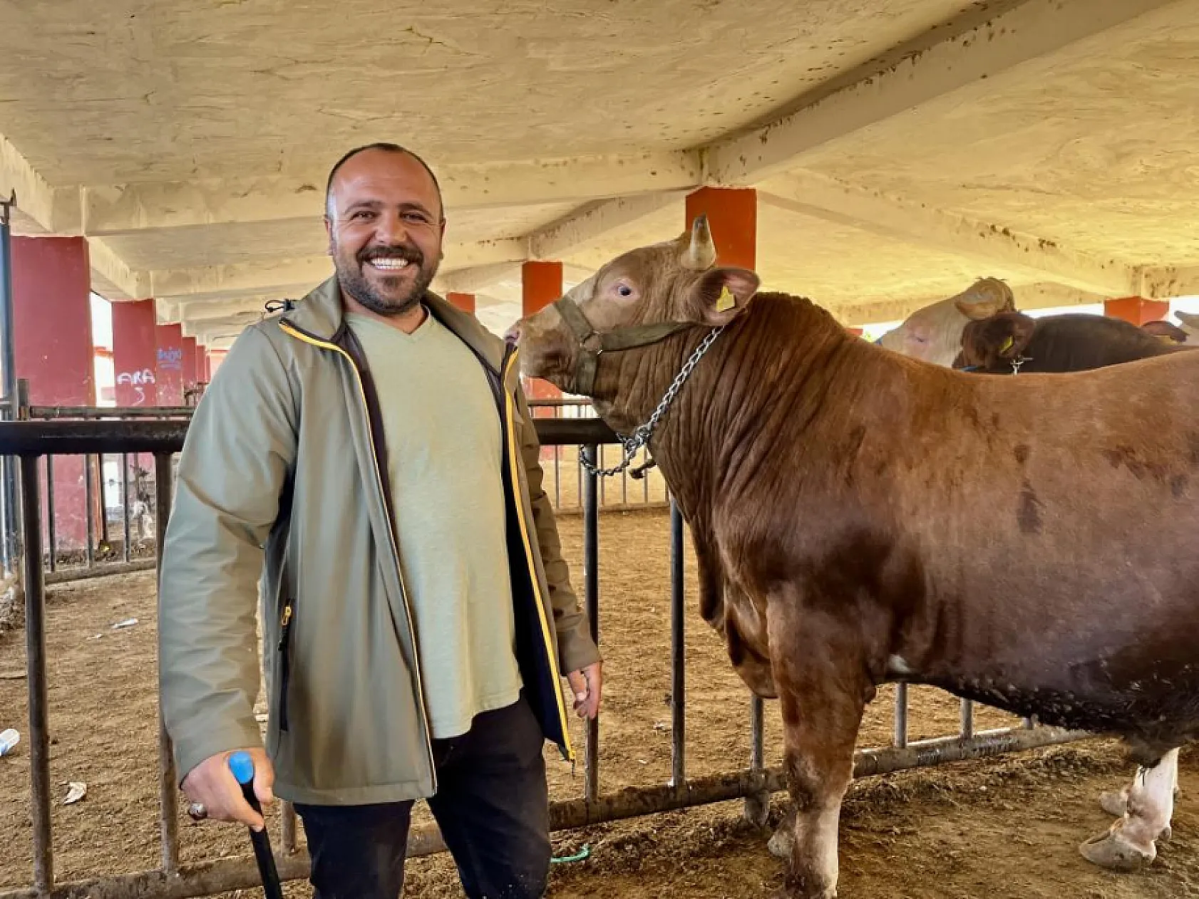 Ağrı'dan Batı illerine sevk edilen kurbanlık oranında düşüş yaşandı
