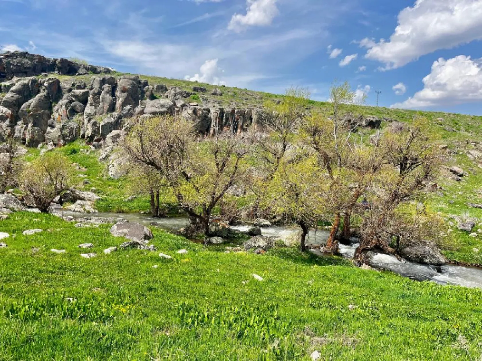 Ağrı'da baharın gelişi ile doğanın renk uyumu büyüledi