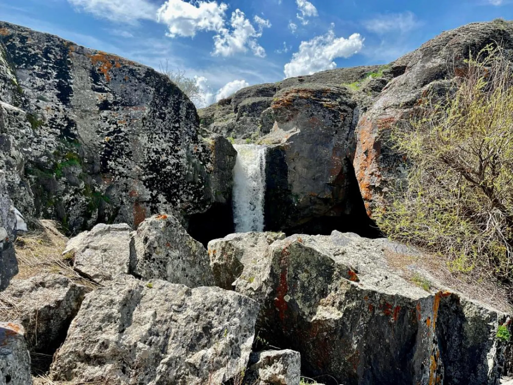 Ağrı'da baharın gelişi ile doğanın renk uyumu büyüledi