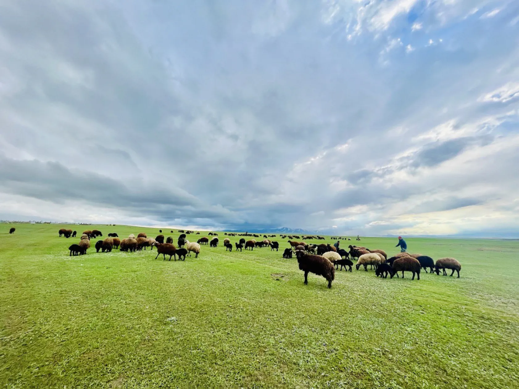 Ağrı'da baharın gelişi ile doğa uyandı