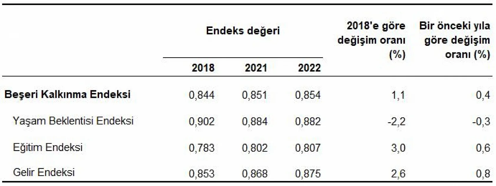 TÜİK Beşeri Kalkınma Endeksi Verilerini Açıkladı: Ağrı Son Sırada