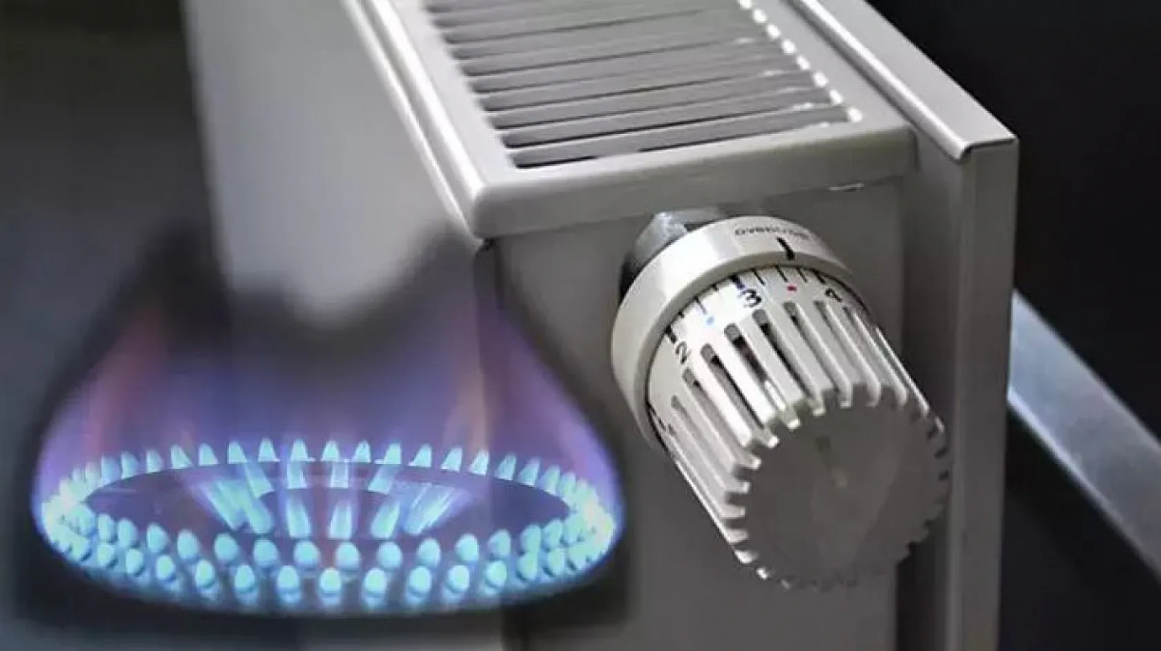 Ağrı'da Yaşamanın Maliyeti Ne Kadar?