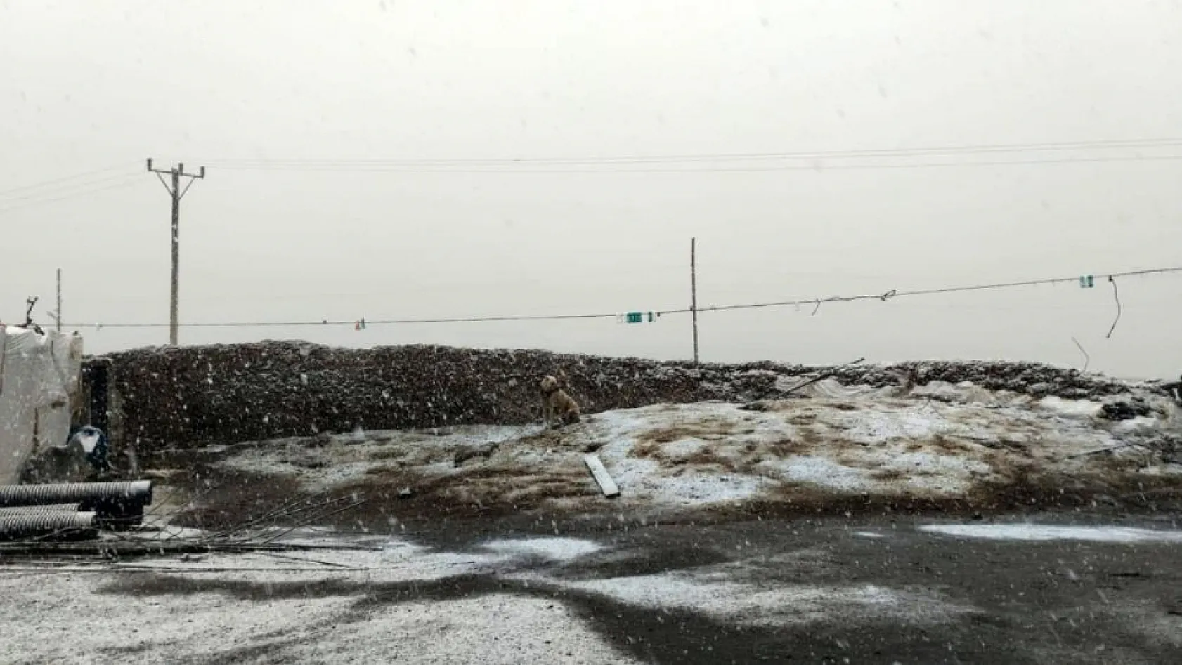 Ağrı'da o köy Mayıs ayının ortasında beyaza büründü