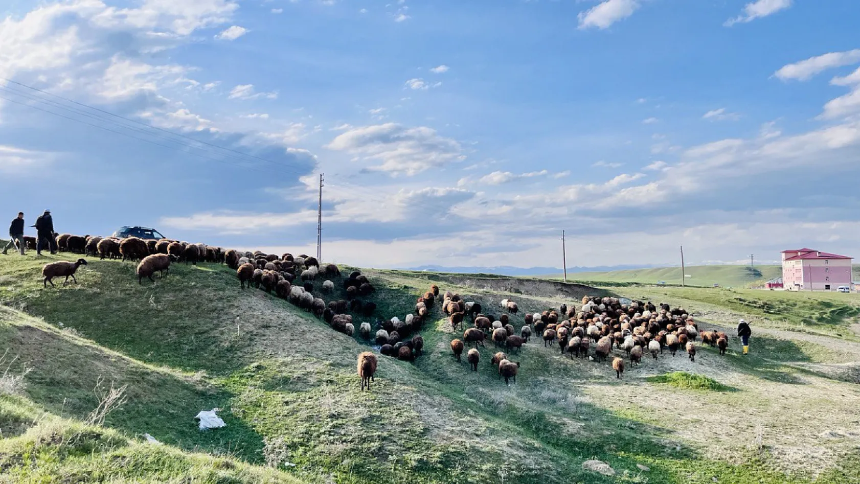 Ağrı'da baharın gelişi ile doğa uyandı