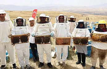 Ağrı'da Bal Hasadı Başladı: Vali Mustafa Koç, Kadın Arıcılarla Birlikte Kovan Açtı