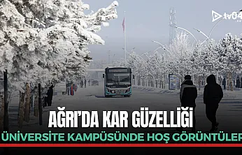 Ağrı'da kar güzelliği: Üniversite Kampüsü kartpostallık görüntüler sundu
