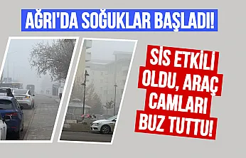 Ağrı'da Kış Kapıyı Çaldı: Sis ve Ayaz Hayatı Olumsuz Etkiliyor
