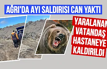 Ağrı'da Korku Dolu Anlar: Ayı Saldırısı Bir Vatandaşı Yaraladı!