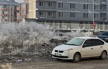 Ağrı'da Soğuklar Etkisini Artırdı: Ağaçlar Kırağı Tuttu, Araçlar Buzla Kaplandı