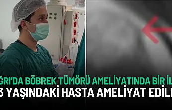 Ağrı Eğitim ve Araştırma Hastanesi'nde Böbrek Tümörü Ameliyatında Bir İlk
