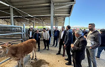 Patnos Hayvan Pazarı Kantar Sorunu Çözülüyor: Besicilere Müjde!