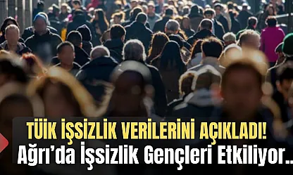 TÜİK İşsizlik Verileri Açıklandı: Ağrı'da İşsizlik Gençleri Daha Fazla Etkiliyor