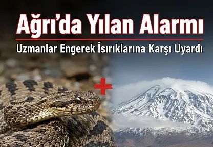 Ağrı'da Yılan Alarmı: Uzmanlar Engerek Isırıklarına Karşı Uyardı