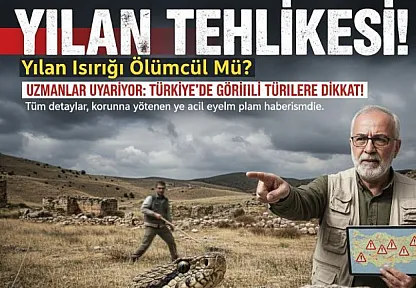 Yılan Isırığı Ölümcül Mü? Uzmanlar Türkiye'de Görülen Türlere Karşı Uyarıyor