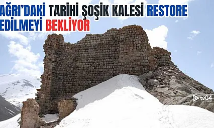 Ağrı'daki Tarihi Şoşik Kalesi Restore Edilmeyi Bekliyor